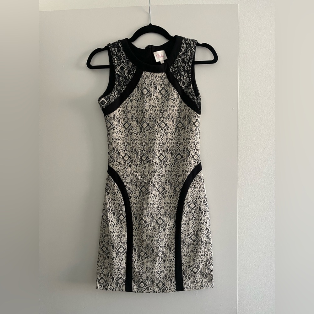 Parker dress
